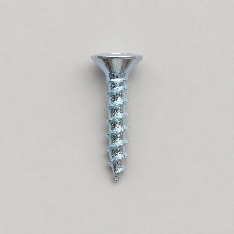 Schraube 5 × 25 mm | 10er-Pack, verzinkt